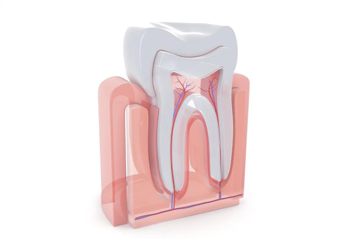 ROOT CANAL TREATMENT